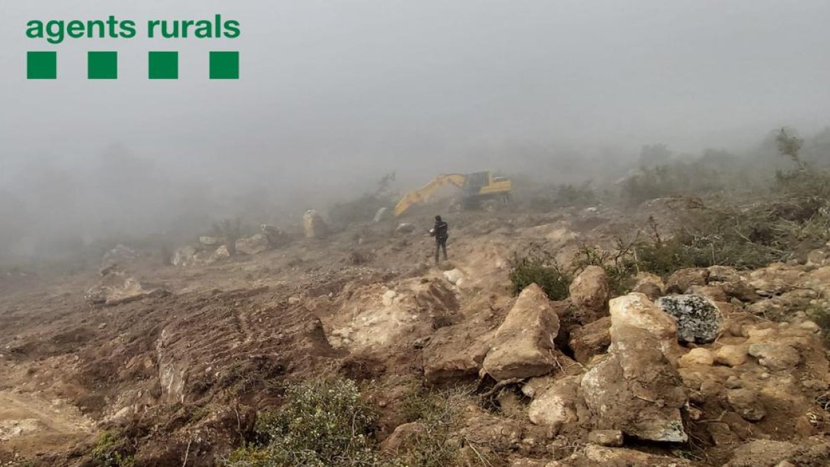 El denunciat va superar en mitja hectàrea el terreny autoritzat.