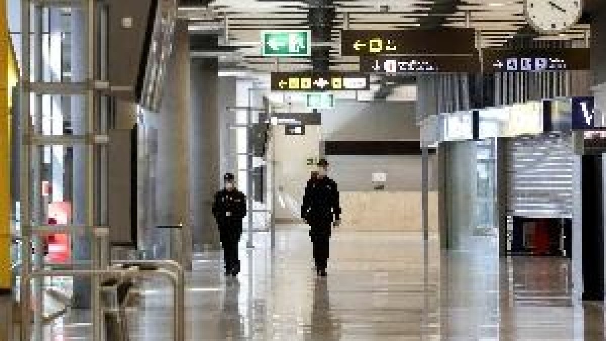 Mueren 23.000 pollitos abandonados en palés en el aeropuerto de Barajas