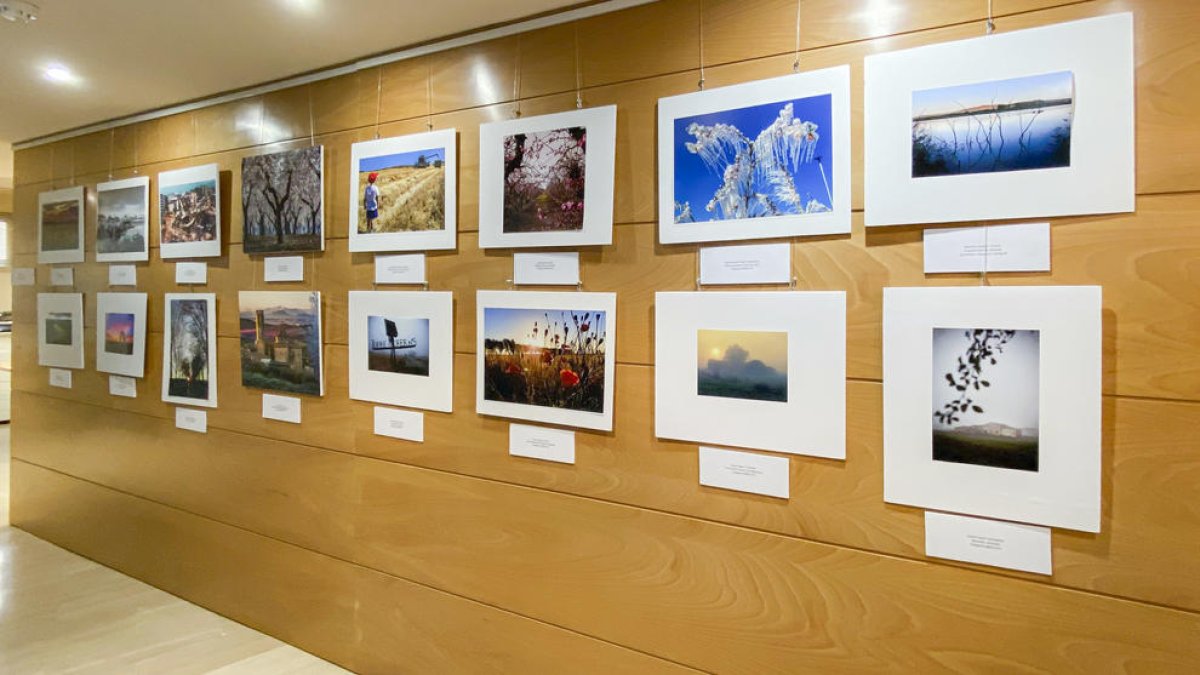 Imatge de l’exposició fotogràfica ‘Valors del Segrià’, que podrà visitar-se a Alcoletge.