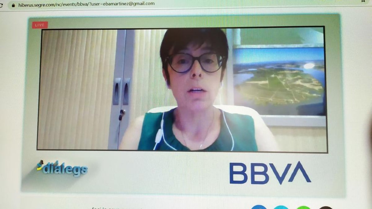 Un momento de los cuatro ponentes en el seminario digital con el moderador.