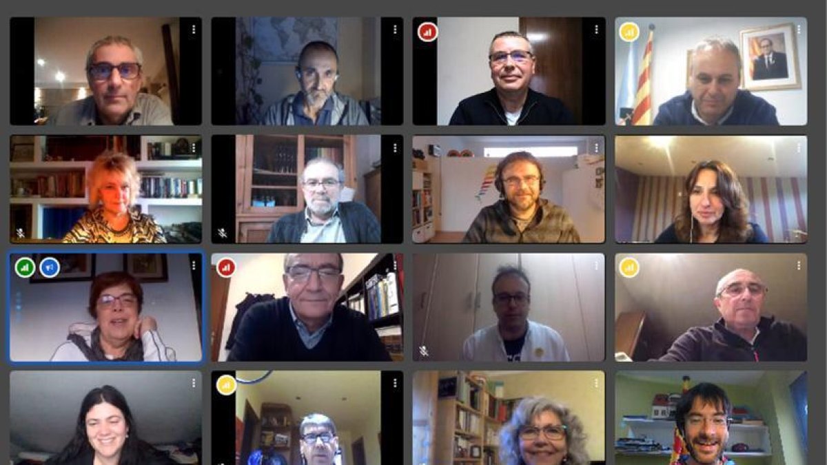 Alcaldes i regidors del Pla durant una reunió telemàtica.