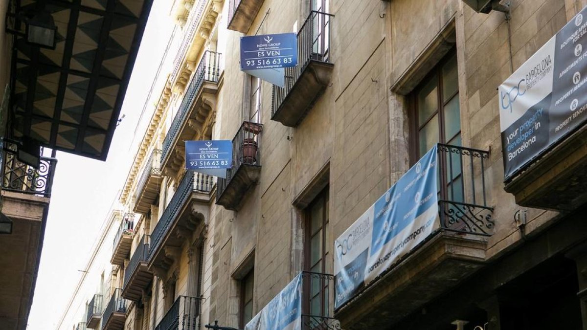 Els contractes de lloguer hauran d'incloure imatges o vídeos dels pisos