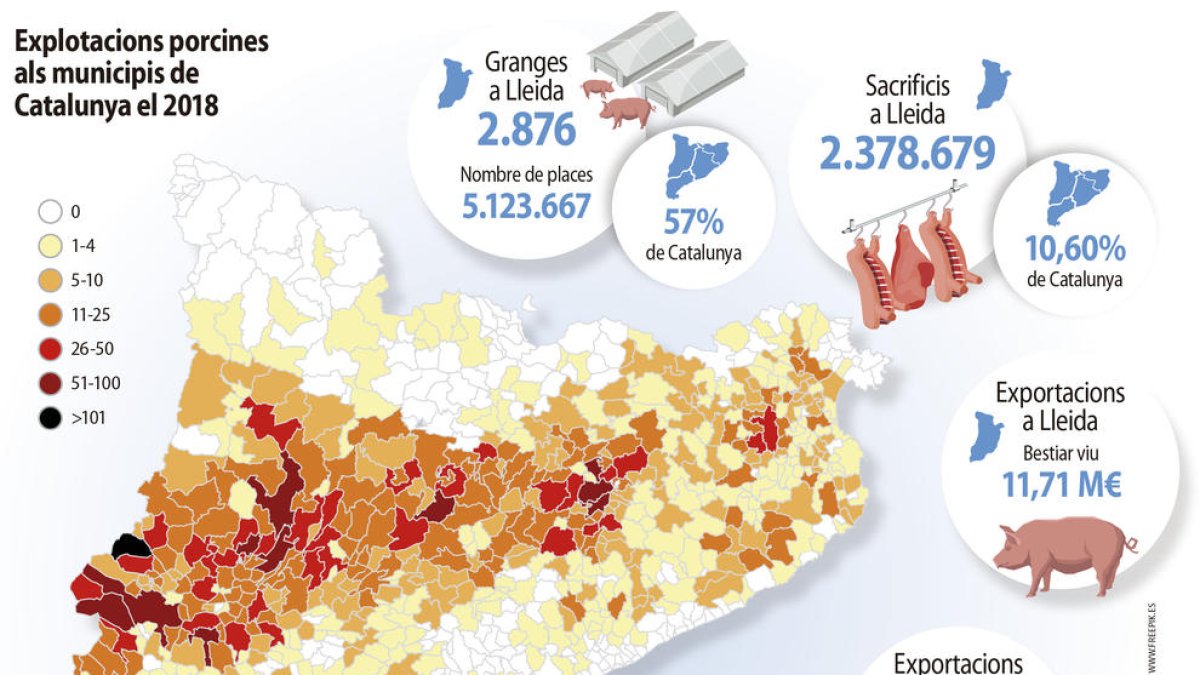 El sector de la producció de porcí de Lleida factura prop de 900 milions