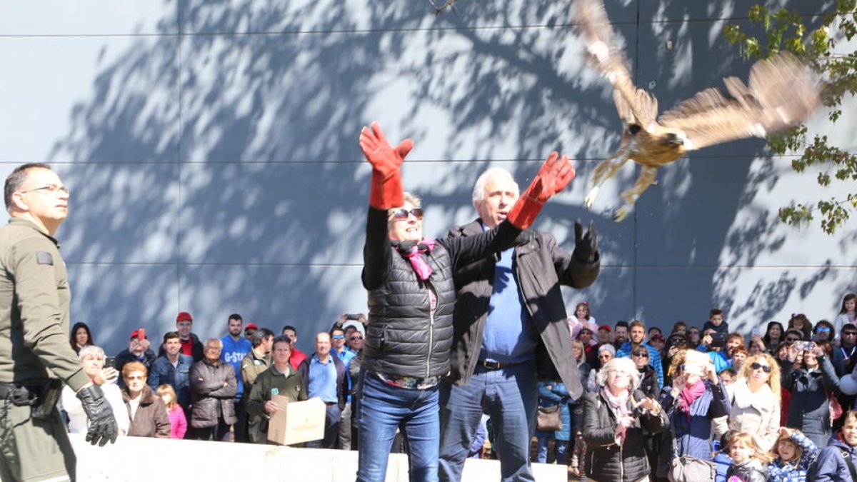 Momento en el que se liberó una aguila con la ayuda de los Agentes Rurales.