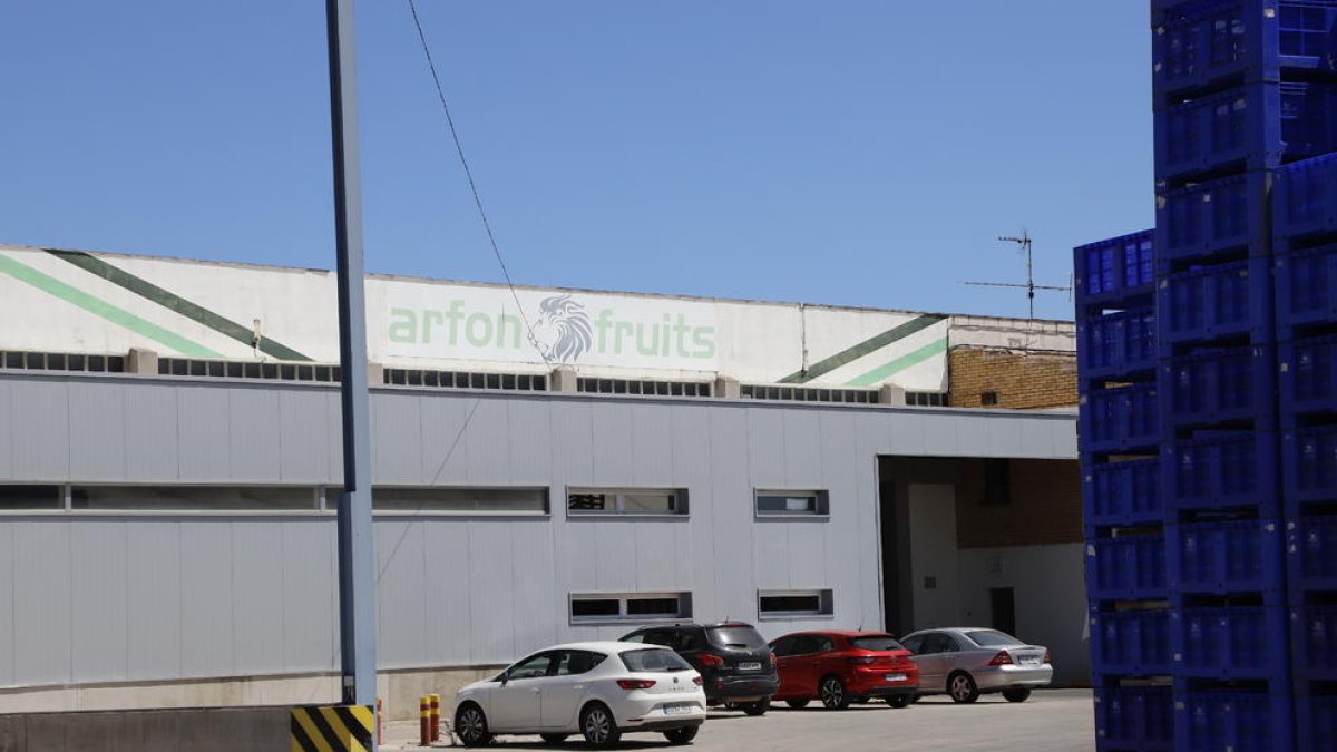 Arfon Fruits de Aitona ha estado cerrada por orden de la Generalitat.