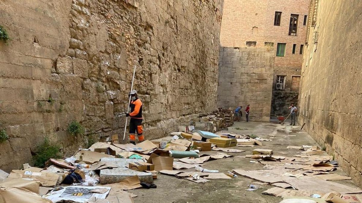 Queixes per brossa en un pati de la Catedral de Lleida
