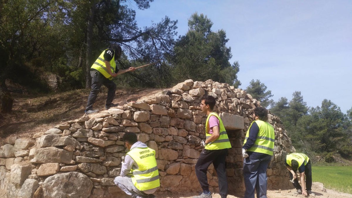 Alumnes de l’institut de Mollerussa, durant els treballs de restauració de la cabana de volta.