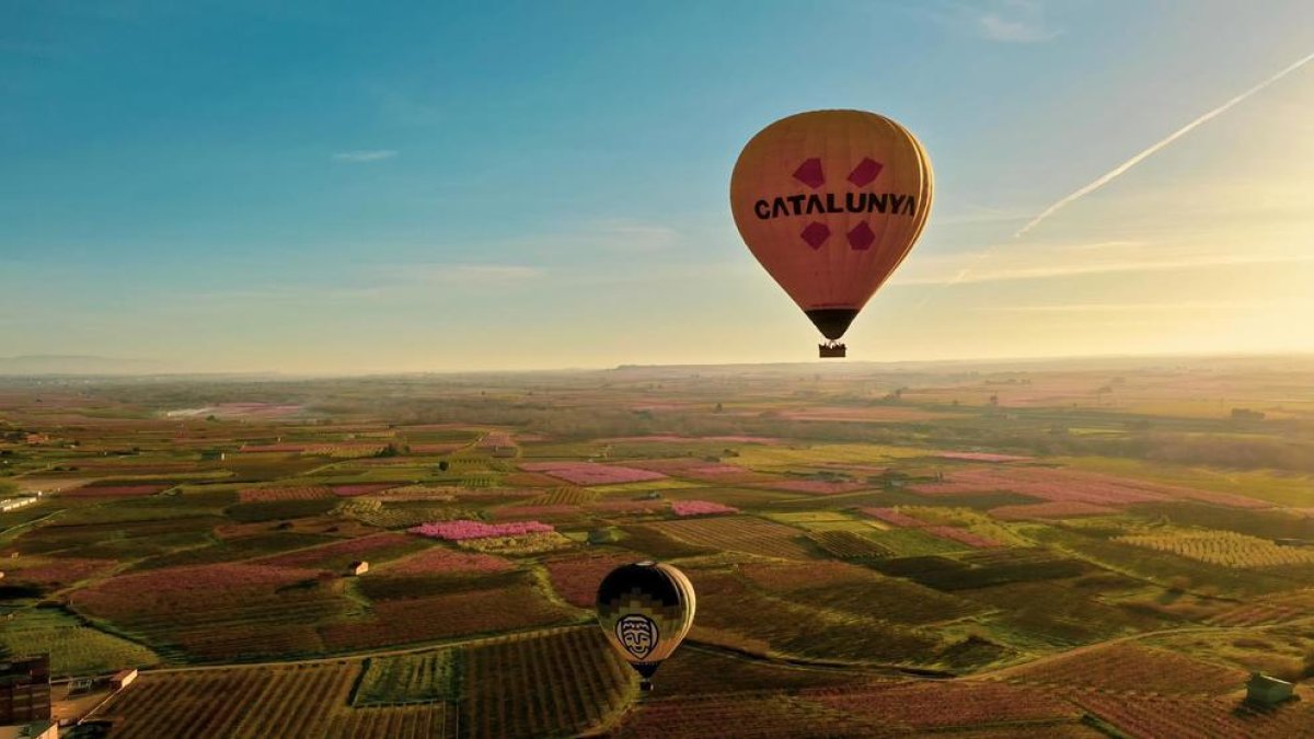 Dos globus volant ahir per sobre del ‘mar rosa’ que formen els arbres florits a Aitona.