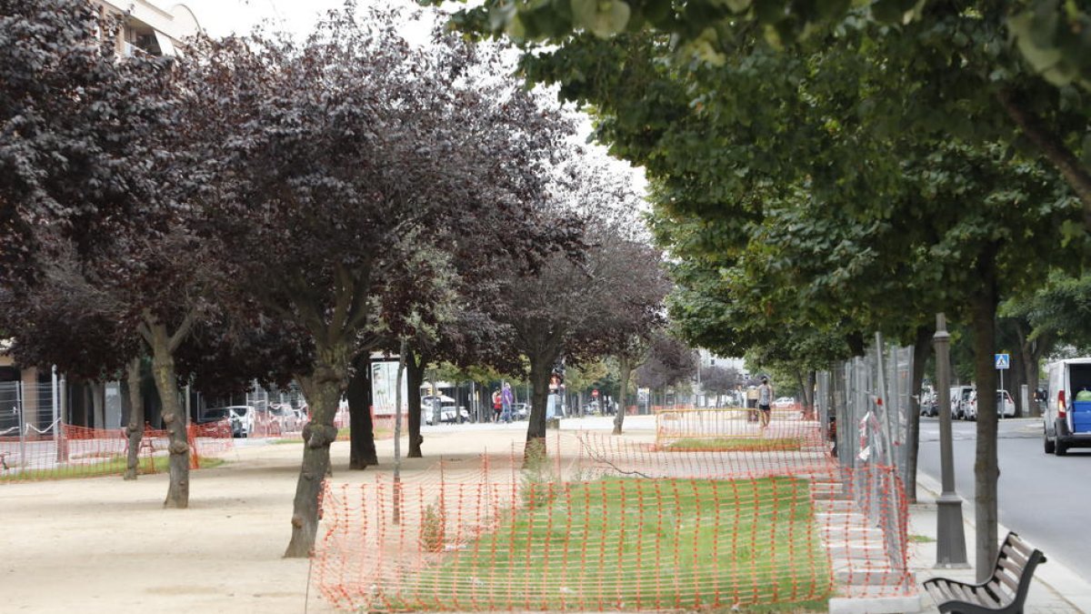 Alguns dels parterres de gespa a la rambla de Pardinyes.