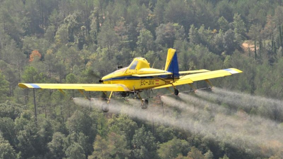 Esta semana se hace el tratamiento en el Alt Urgell y el Solsonès.