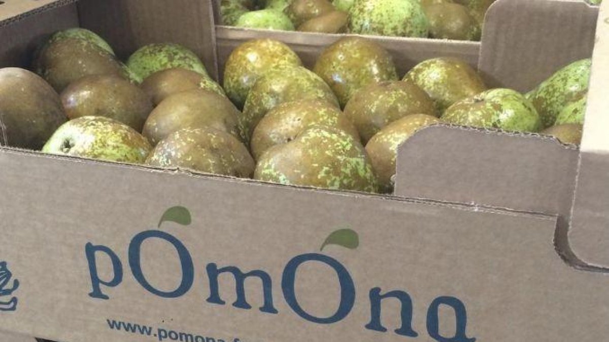 BBVA i El Celler de Can Roca premien l'empresa lleidatana Pomona Fruits