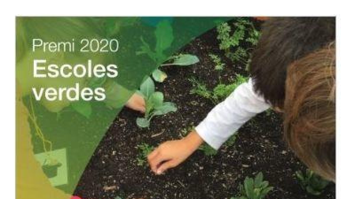 Un centre educatiu del Pla d'Urgell, guardonat com a millor 