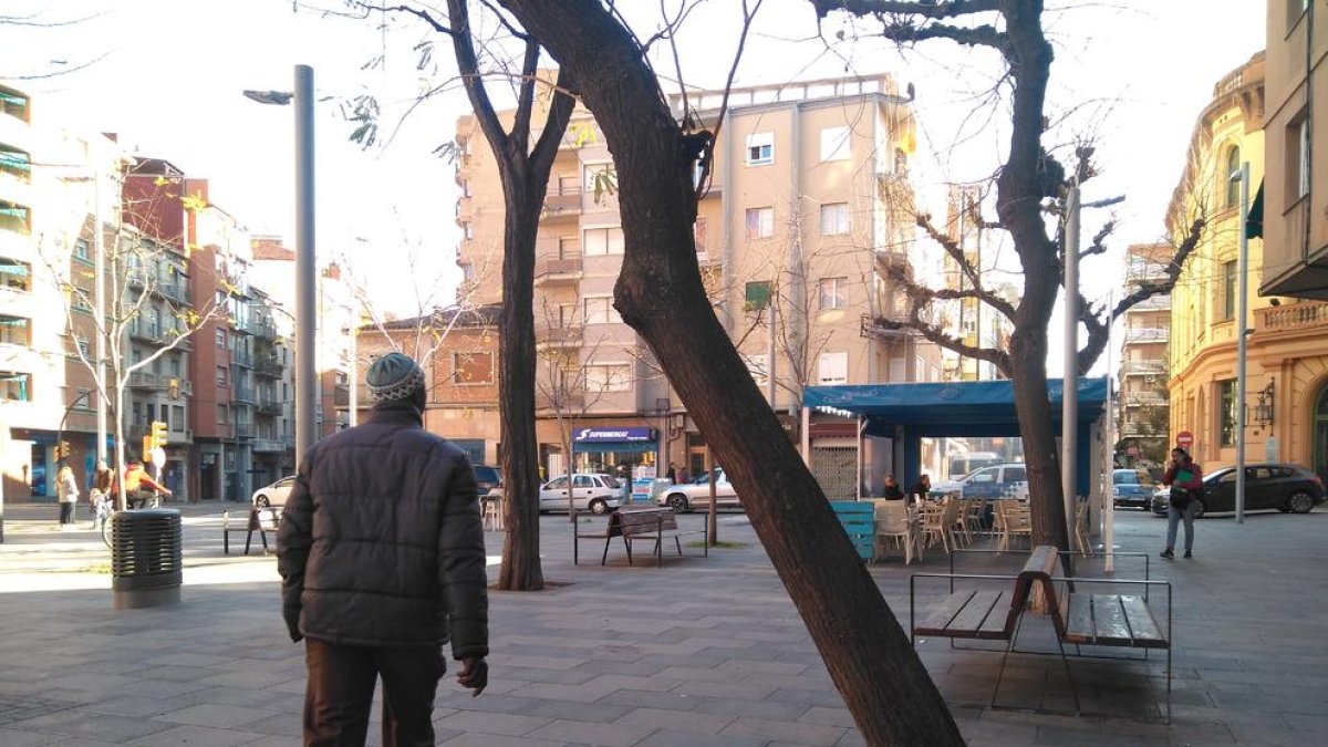 L’associació de veïns del Clot alerta d’un arbre molt inclinat a la plaça del Treball.