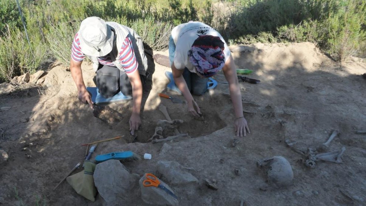 Vista de los trabajos de excavación arqueológica en una de las fosas localizadas en El Cogul.