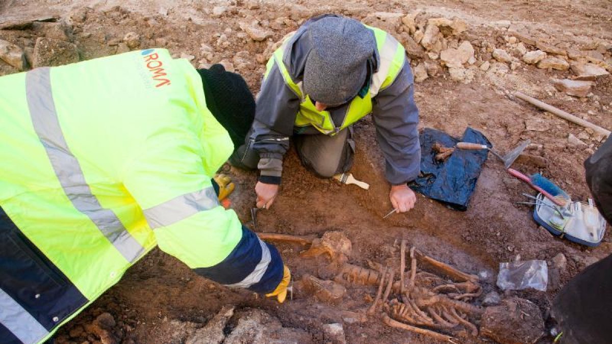 Uno de los esqueletos que se hallaron ayer durante las obras de la plaza Major de Tàrrega.