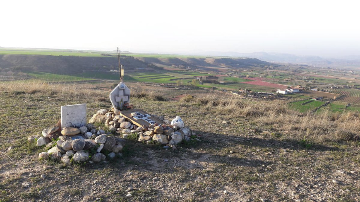 Tumbas de animales en una imagen de archivo junto a la población de Alguaire.