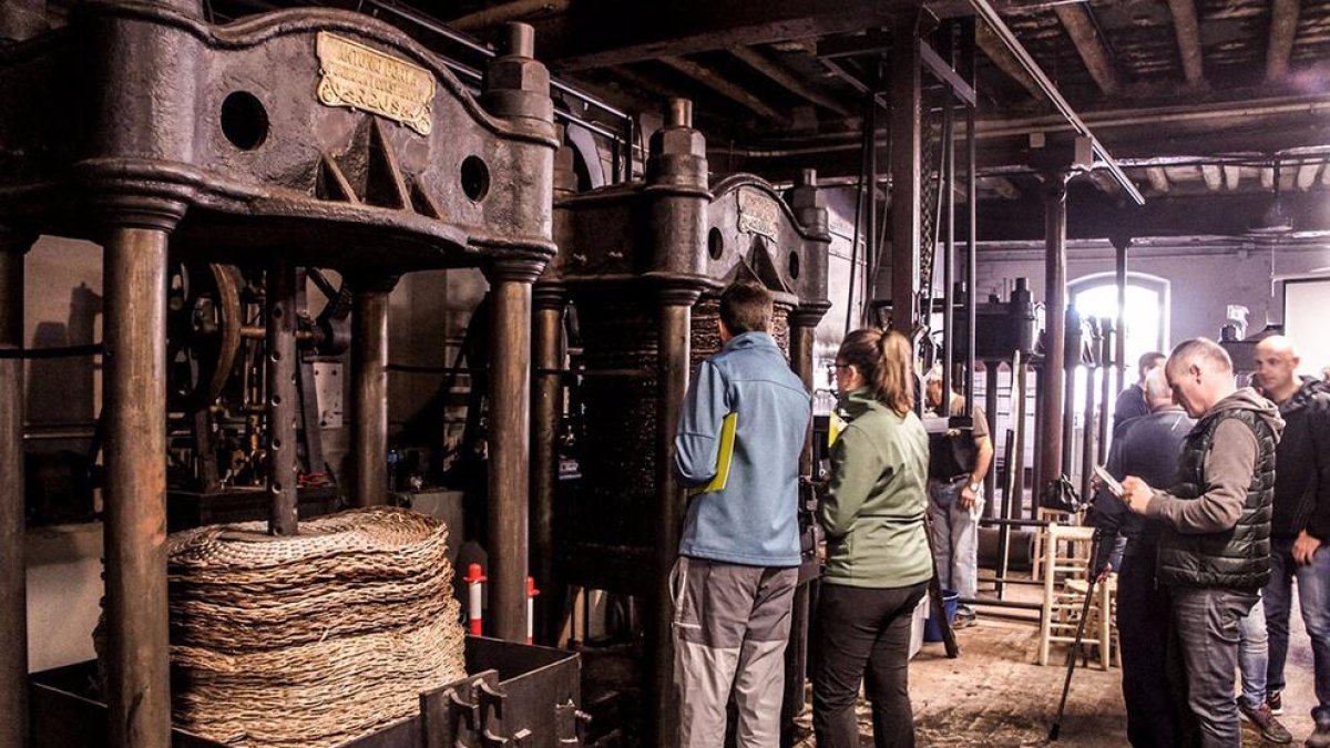 Un momentode la prensada de olivas en La Granadella.