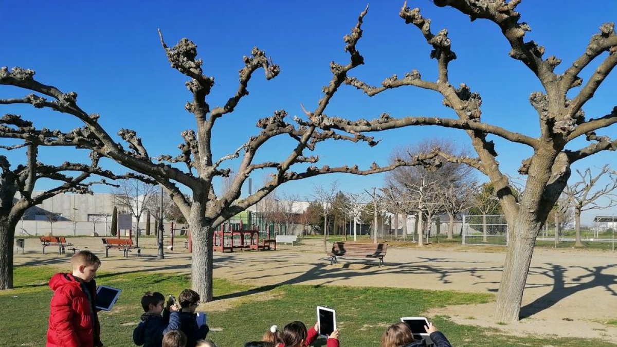 Niños del colegio experimentando con el trabajo ganador.