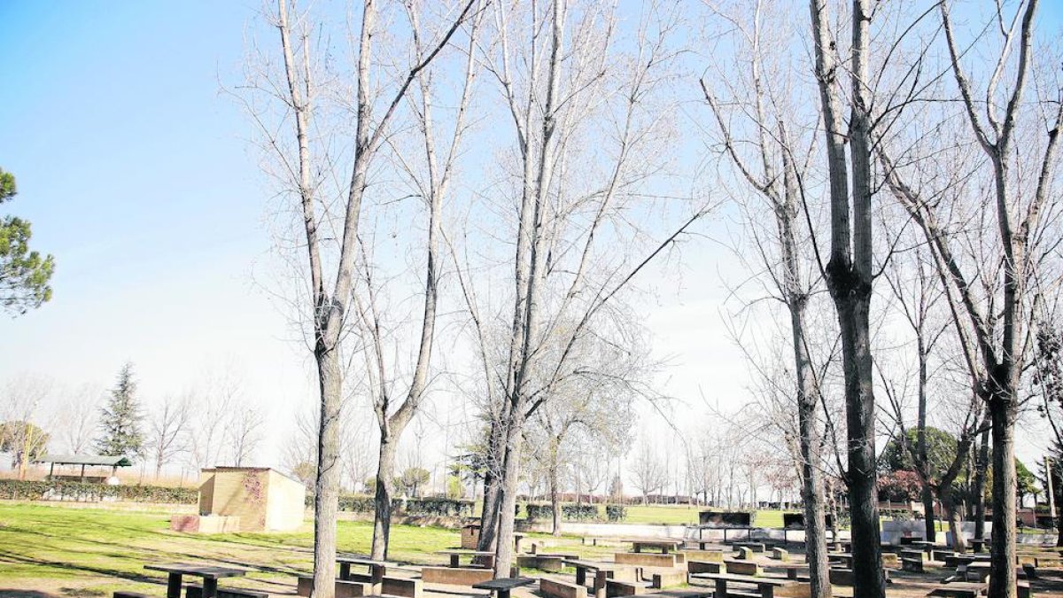 Imagen de archivo de una zona del parque de Les Basses.