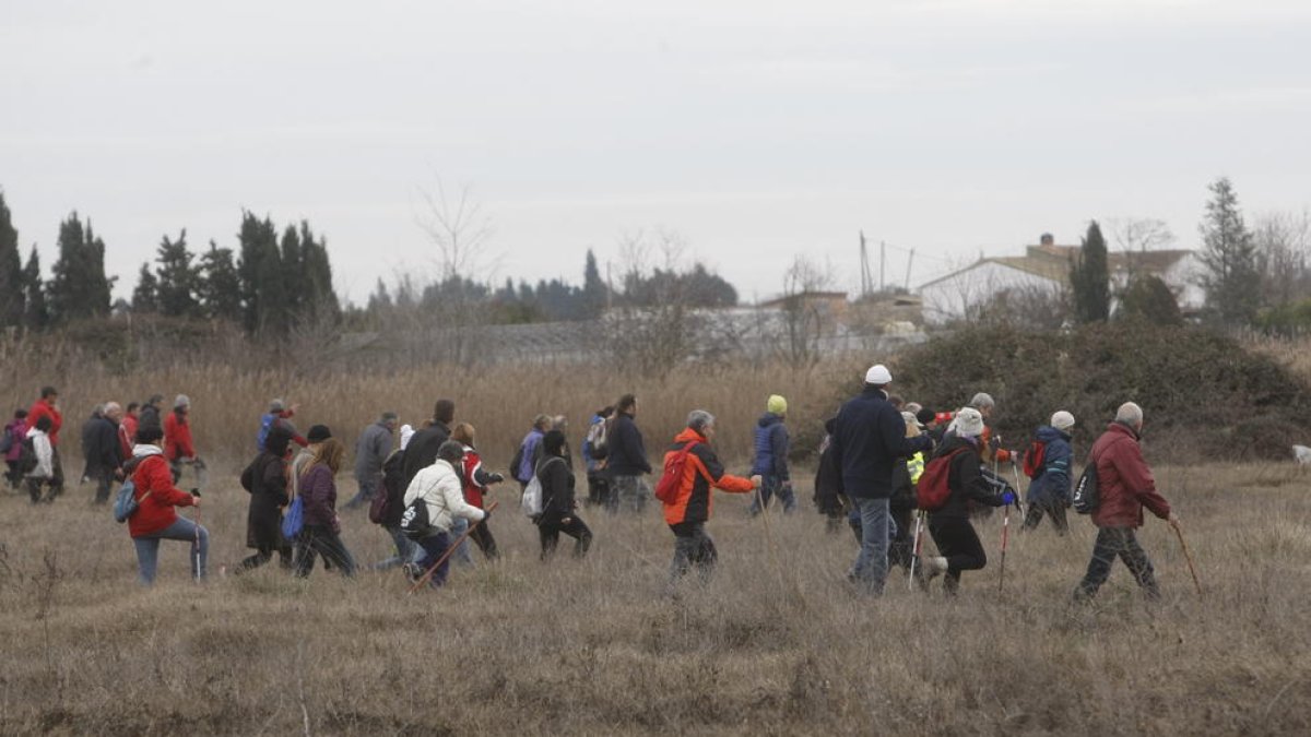 Imagen de una de las jornadas de búsqueda de Joan Altisent.
