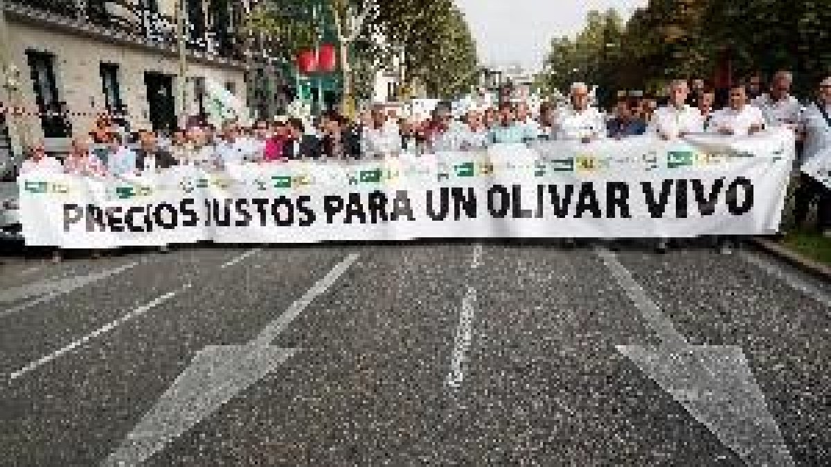 Miles de olivareros piden en Madrid que