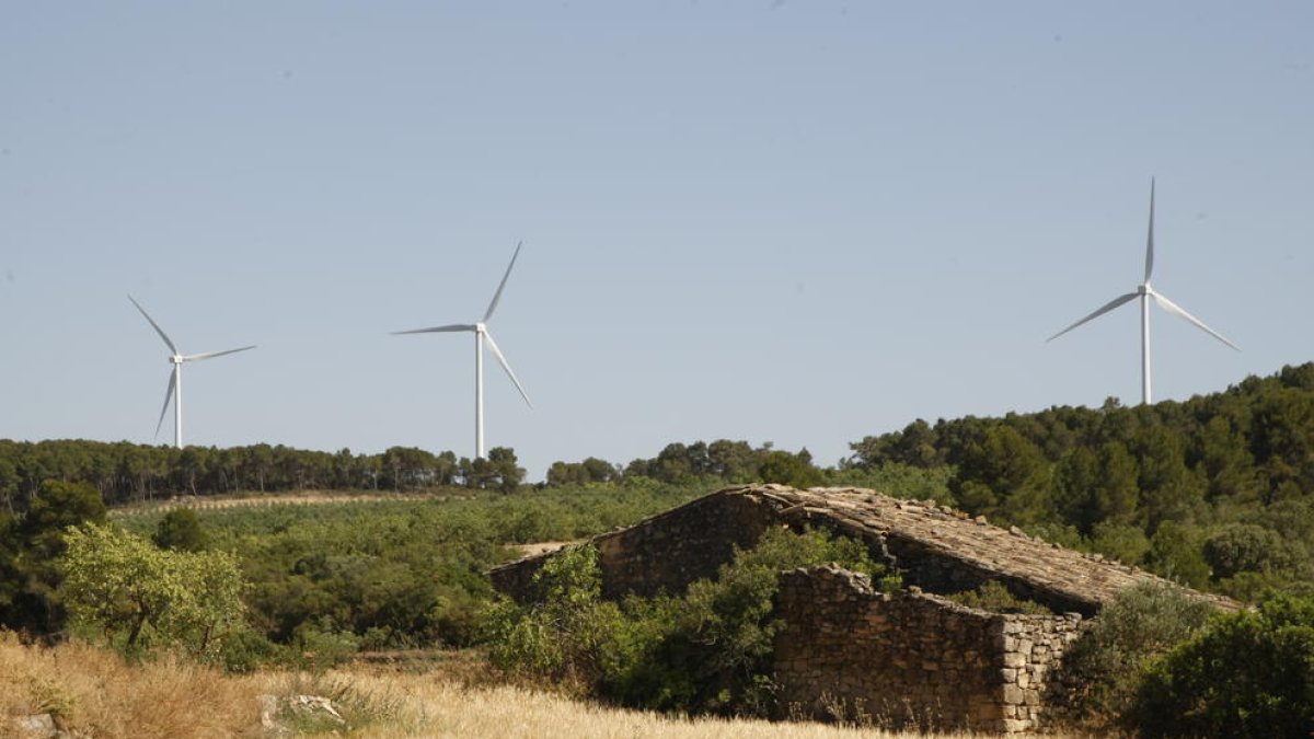 Imatge de la zona on aniran els nous molins eòlics, alineats amb el parc de Sant Antoni.