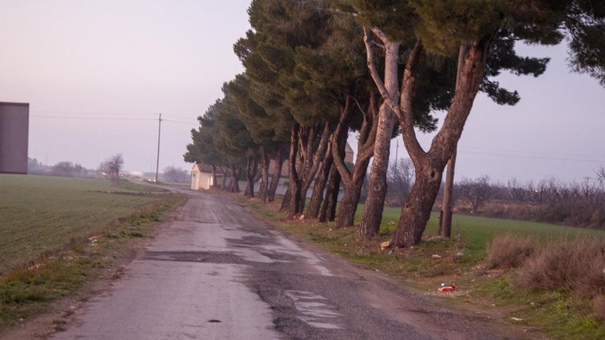 Vía en mal estado y muy frecuentada por los vecinos.