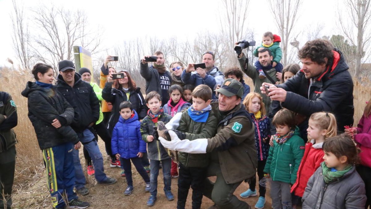 Un dels moments en què es van alliberar algunes espècies del centre de Vallcalent.
