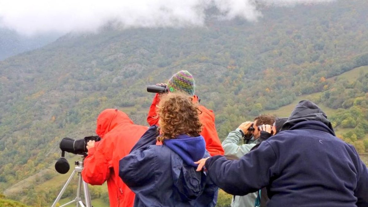 Turistas en la reserva para observar y oír la berrea del ciervo en una imagen de archivo.