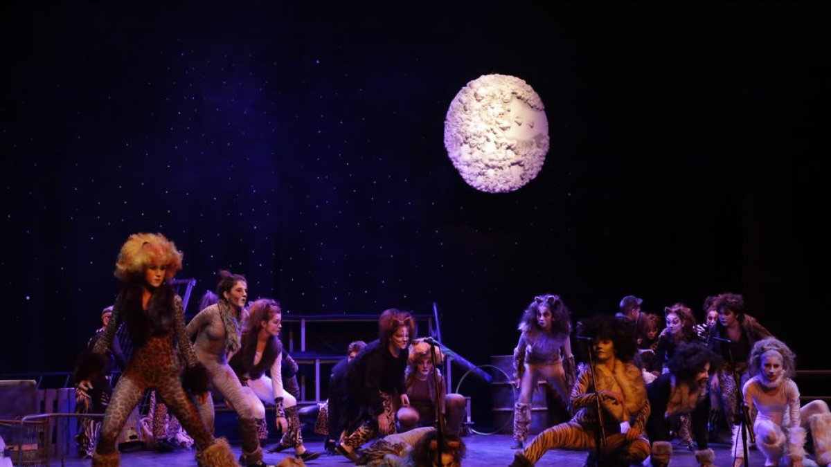 Moment de la representació de l’obra ‘Gats’, ahir al Teatre de l’Escorxador de Lleida.