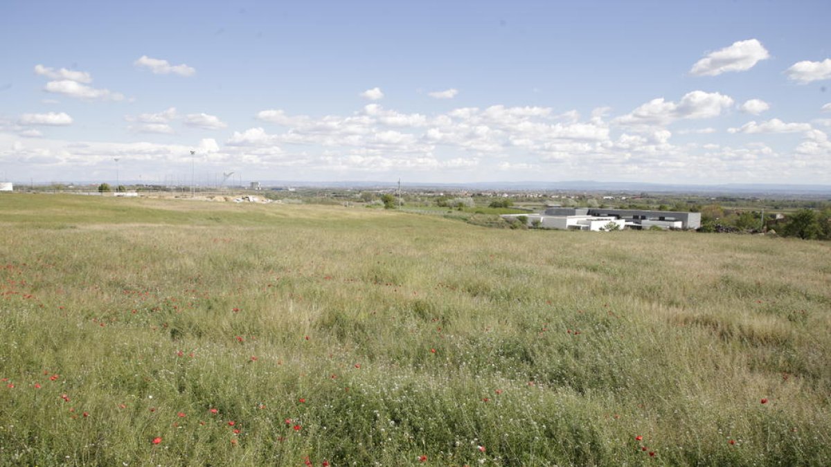 Los terrenos elegidos para el futuro centro, con la Unidad Quirúrgica Docente de la UdL al fondo a la derecha.