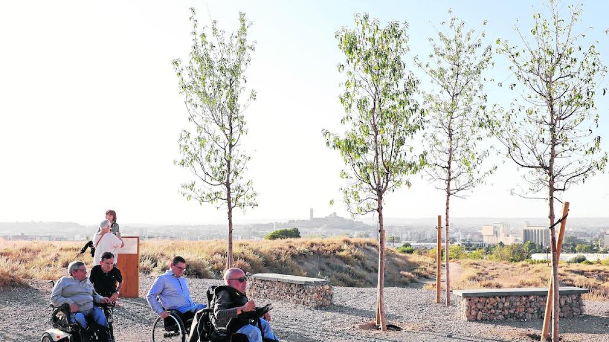 Personas en silla de ruedas y con problemas de movilidad, ayer en el bosque urbano de Magraners