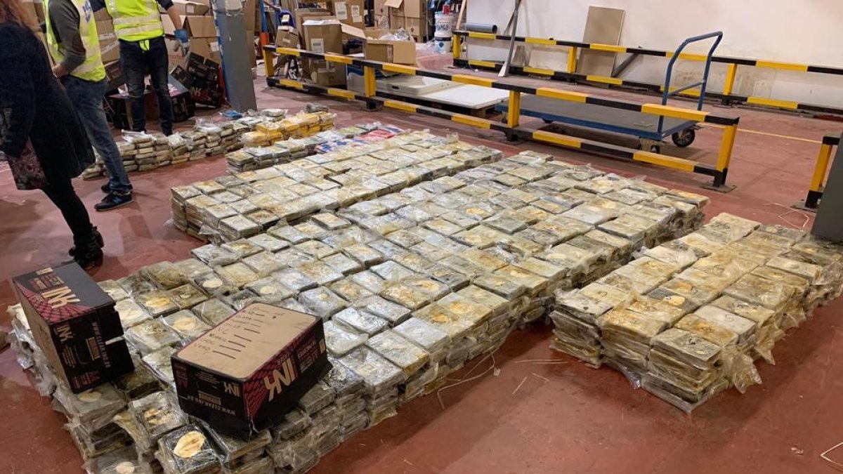 La droga estava oculta en 800 caixes de folis importats des del Brasil i que van arribar a Sant Boi.