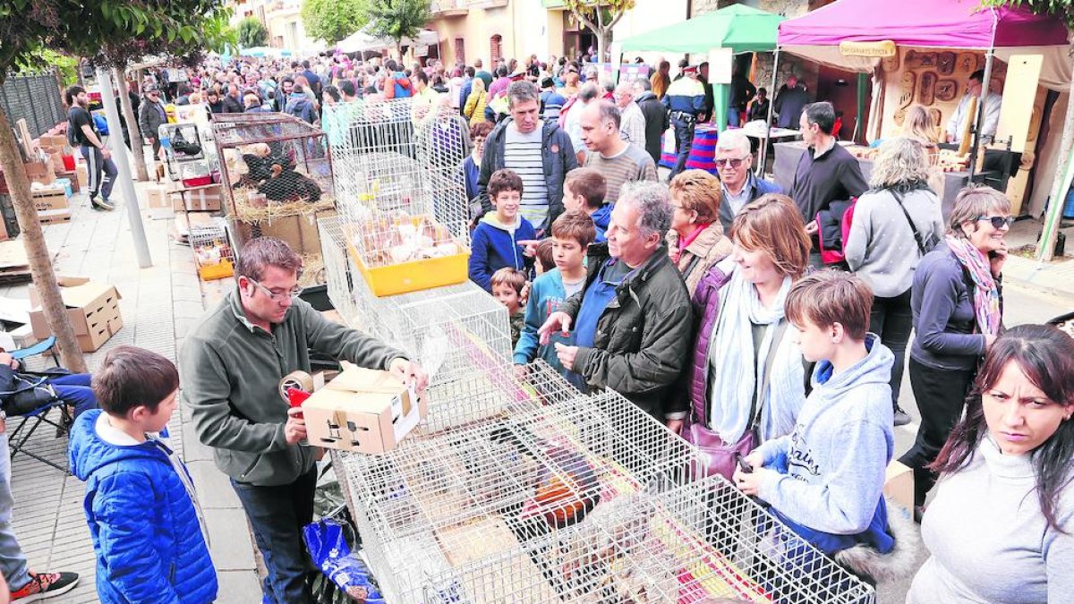 La Fira de la Perdiu que es planteja suspendre aquest any.