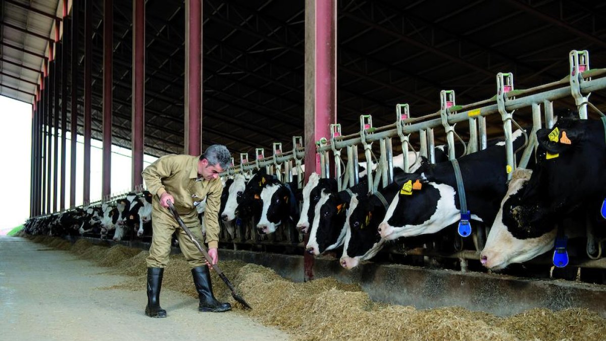 Una de les explotacions amb el certificat.