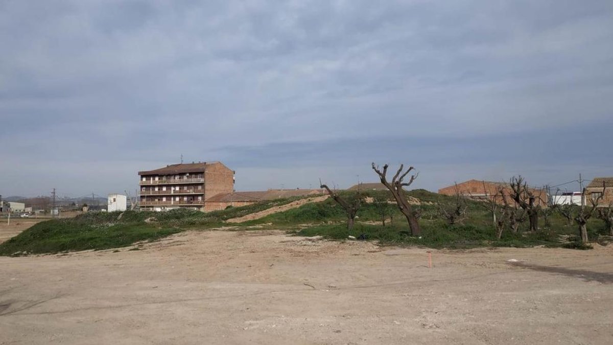 La zona que será remodelada, con el montículo que se transformará en anfiteatro.