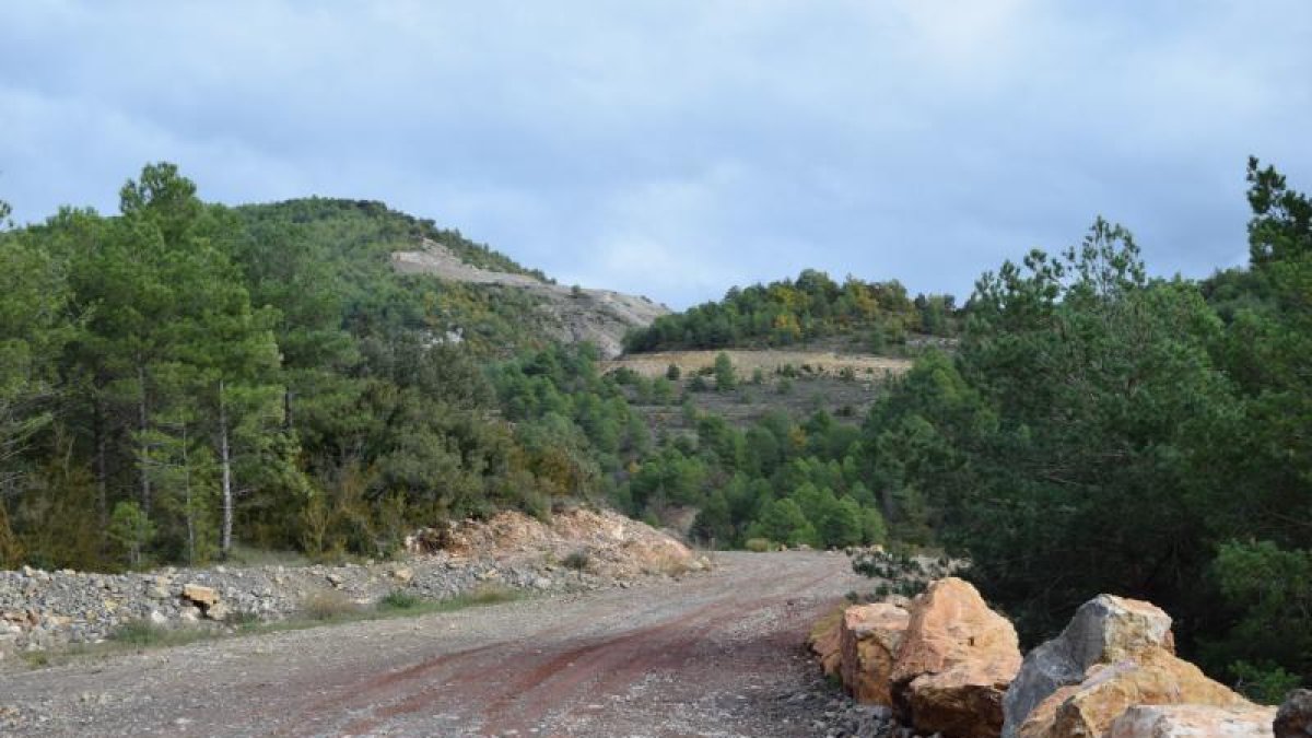 Knauff construyó el acceso desde la N-260 hasta la planta.