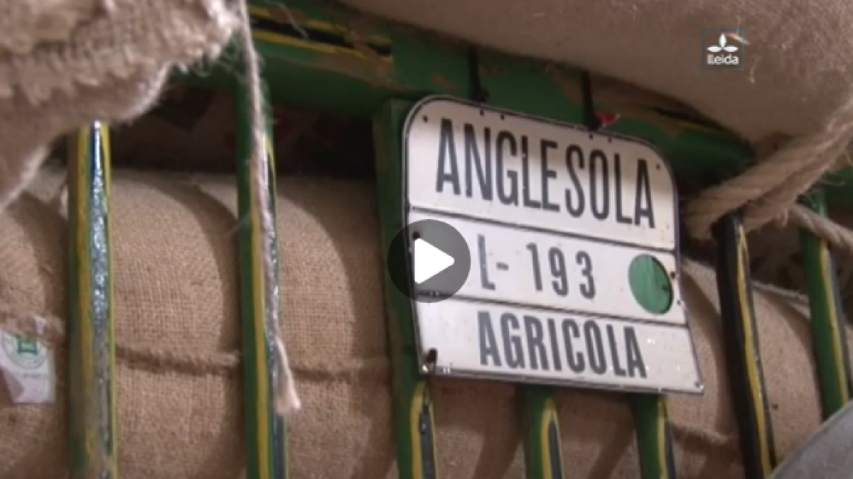 Ara Lleida Tour als Tres Tombs d'Anglesola