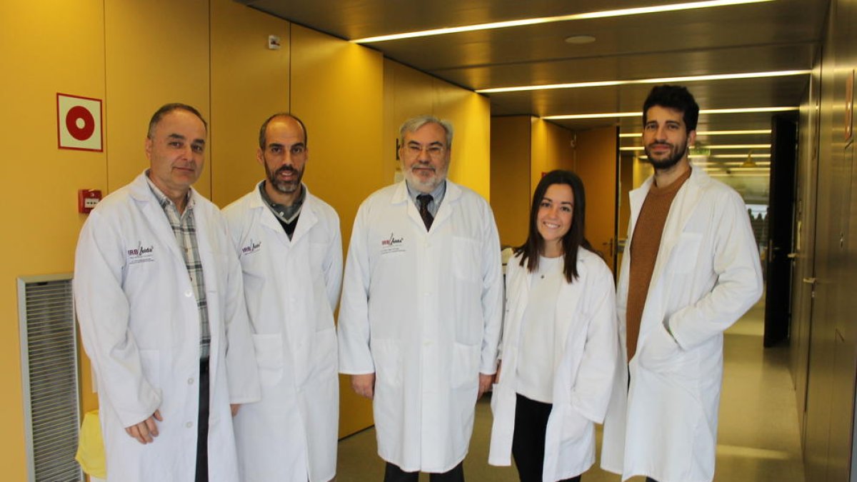 El grup de recerca Neurocognició, psicobiologia de la personalitat i genètica de la conducta determina topogràficament tres fases de la memòria de treball segons la complexitat del record mitjançant tècniques d'espectroscòpia frontal per infrarojos