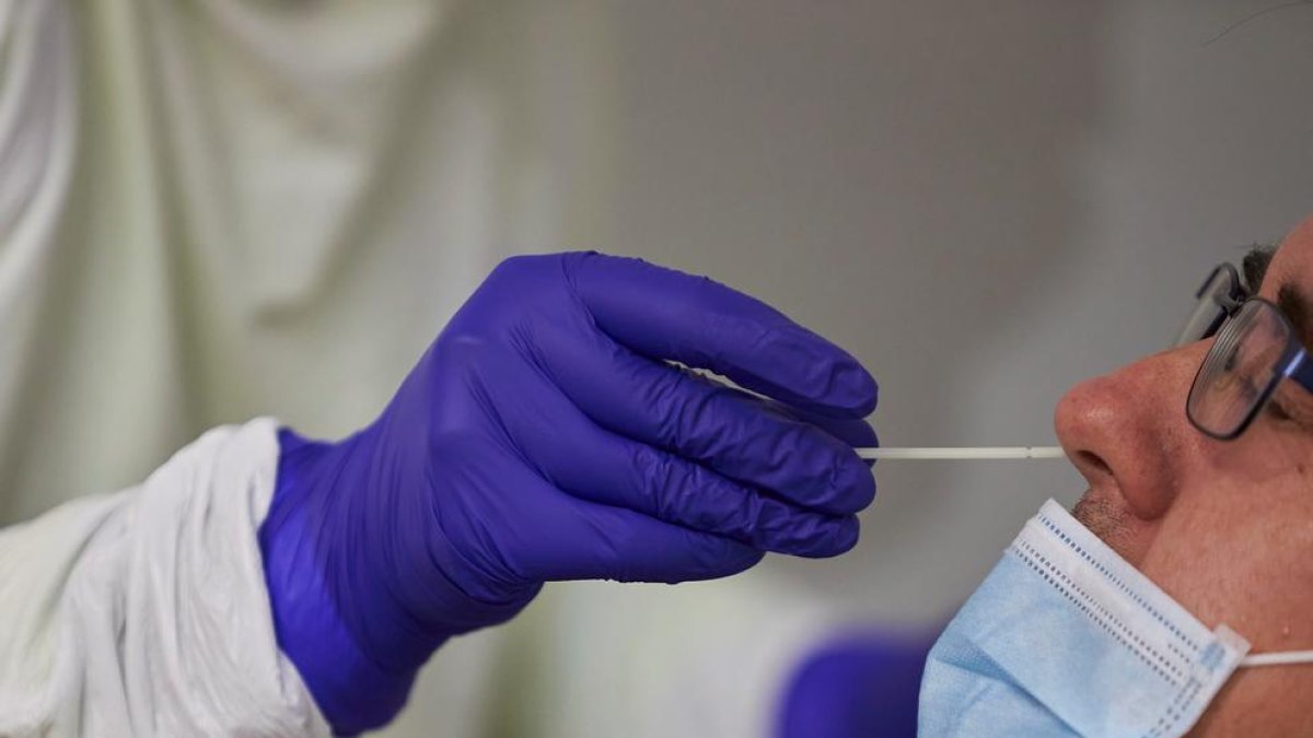 Un nou estudi xifra en almenys quatre mesos la immunitat contra la covid-19