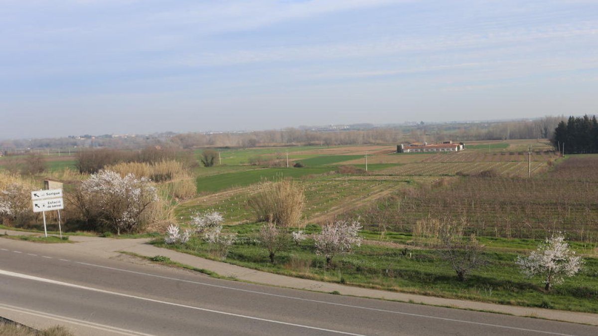 Terrenys entre Térmens i Balaguer on estava prevista una de les plantes rebutjades.