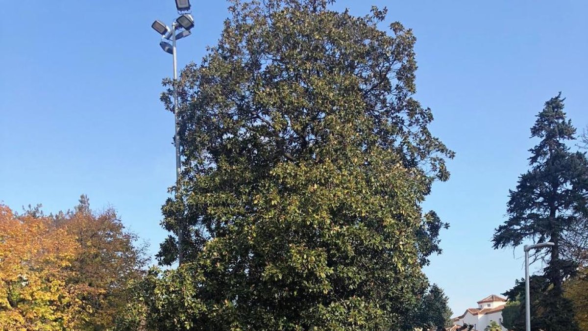 Profesionales del Santa Maria del programa de salud mental.
