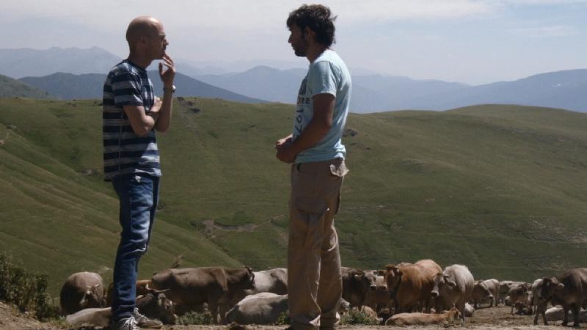 ‘Empatia’ revisa el respecte animal