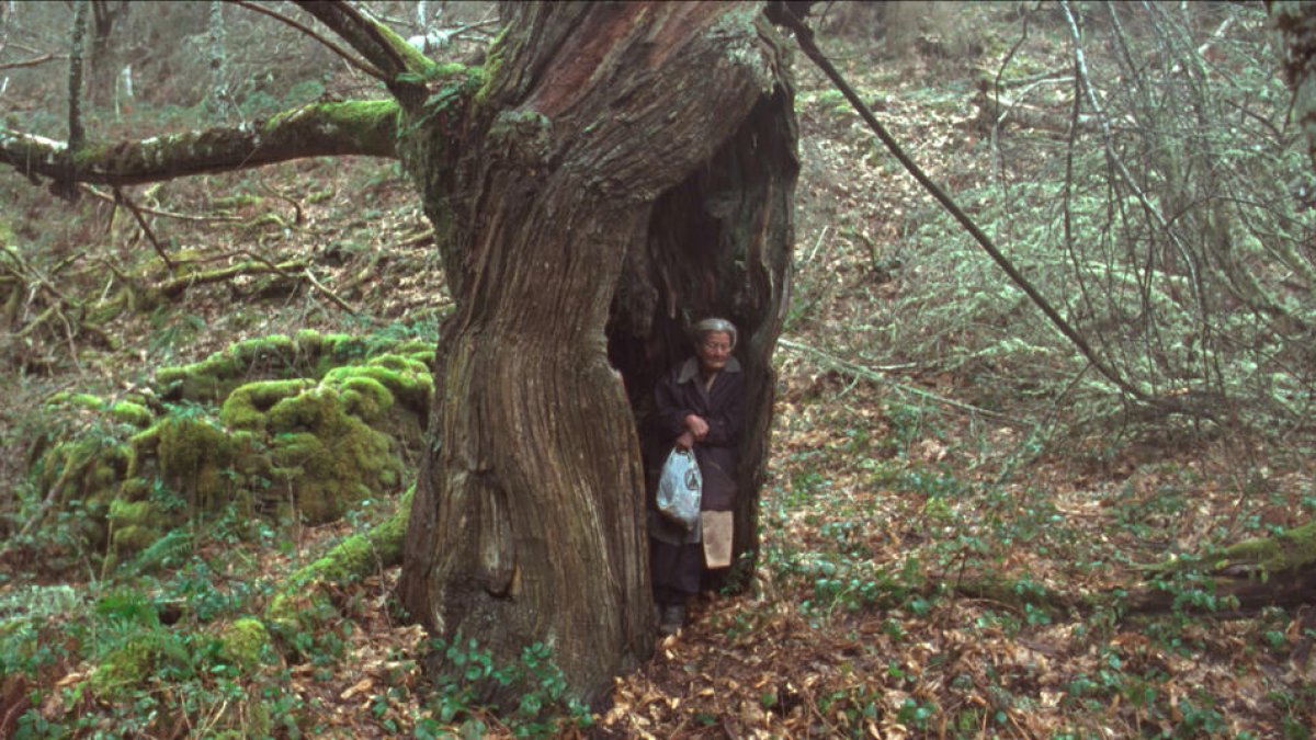 El corazón del bosque