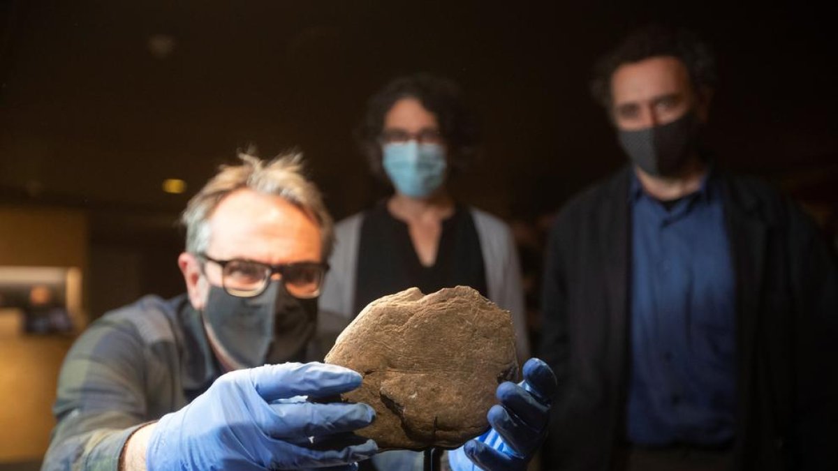 El MAC exhibeix uns nous gravats del paleolític superior.