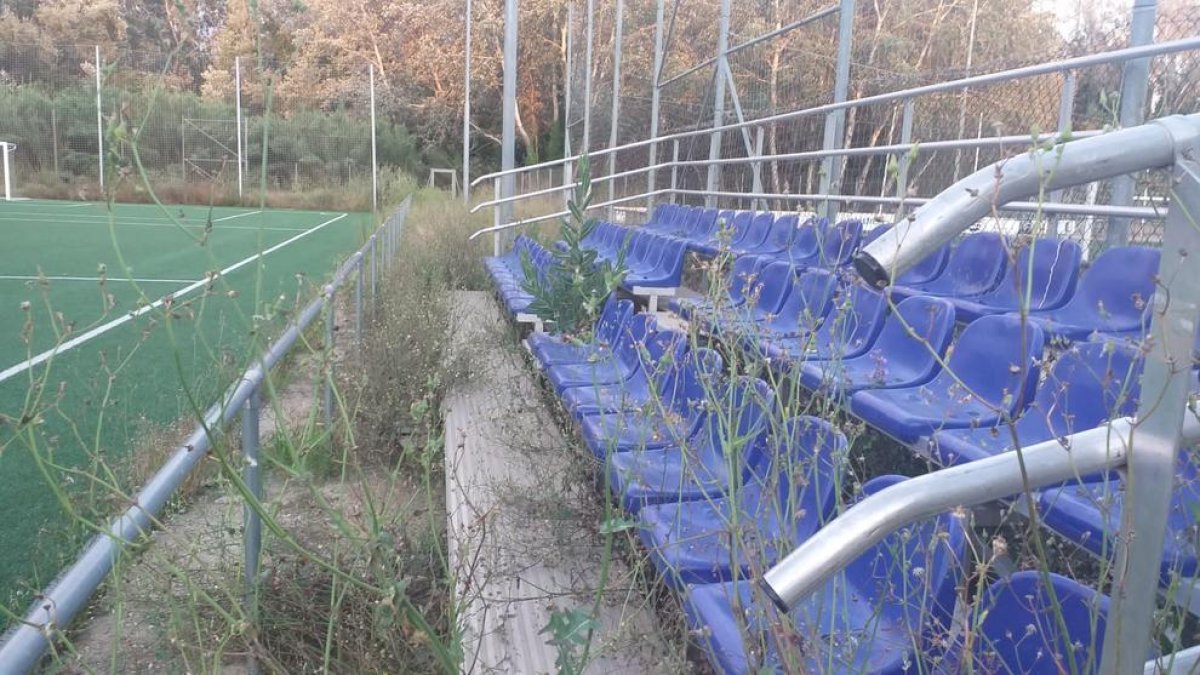 Gradas del Municipal de Pardinyes invadidas por las plantas.