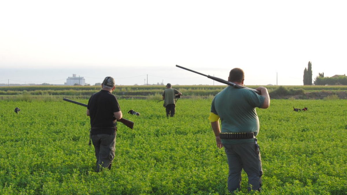 Un grup de caçadors va obrir ahir al matí la mitja veda a Bell-lloc d’Urgell.