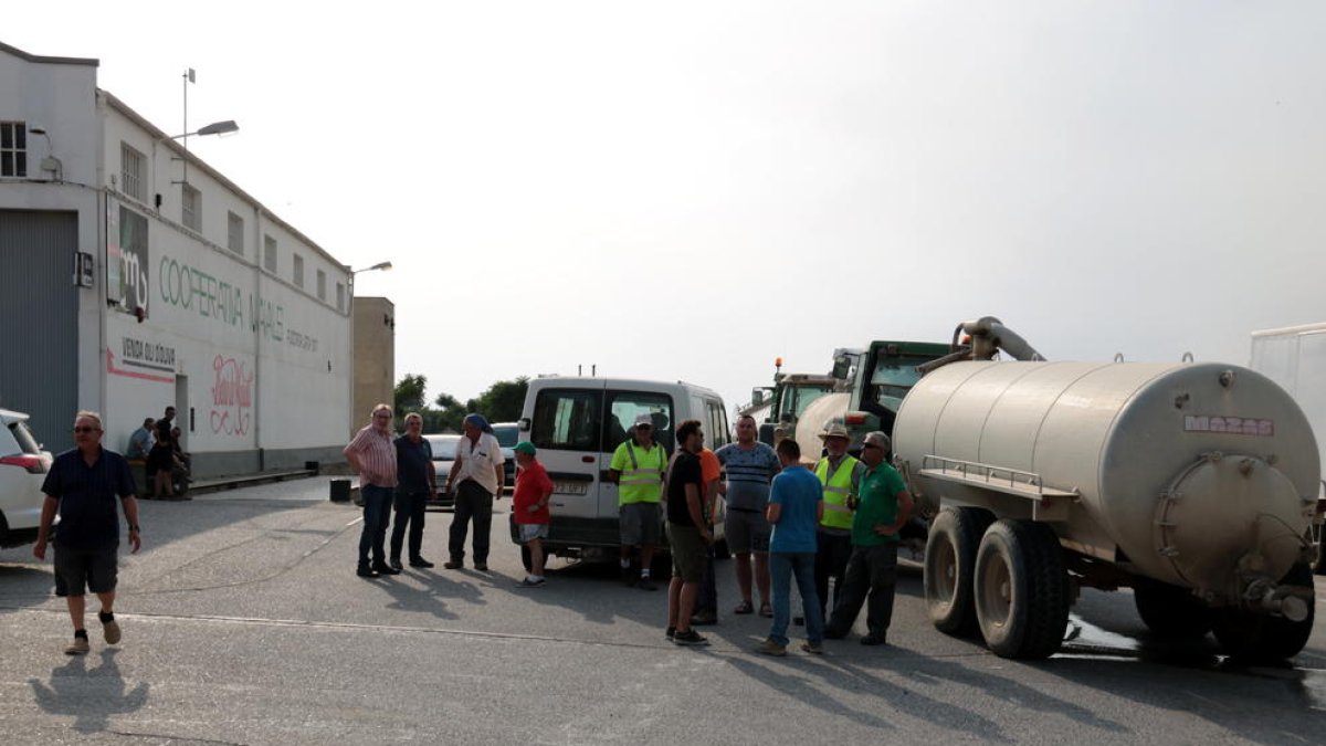 Imatge d’arxiu d’instal·lacions de la cooperativa de Maials.