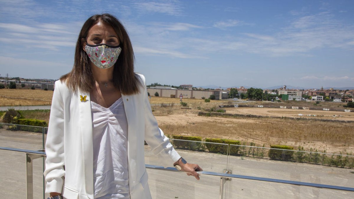 «No prevèiem que els brots es produïssin al juliol»
