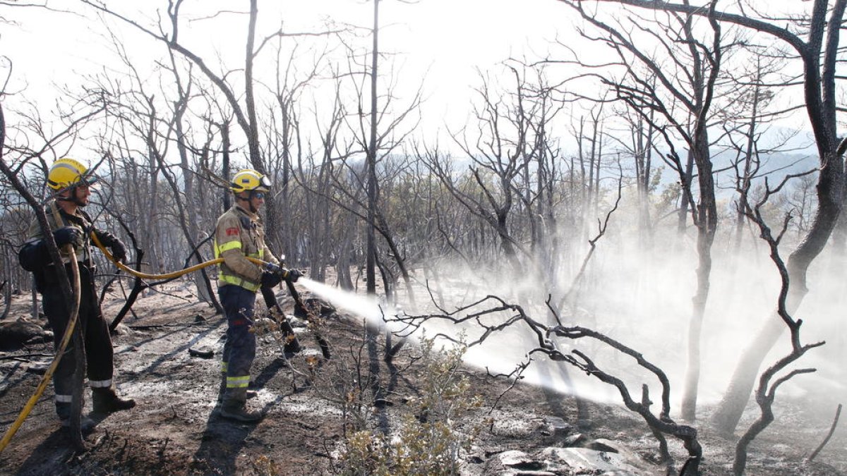 Imagen de archivo de un incendio en Artesa de Segre.